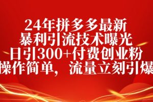 【2024.05.21】24年拼多多最新暴利引流技术曝光，日引300+付费创业粉，操作简单，流量立刻引爆百度网盘免费下载-芽米宝库