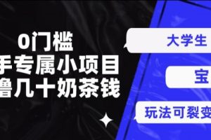 【2024.05.21】0门槛，新手专属小项目，日撸几十奶茶钱百度网盘免费下载-芽米宝库
