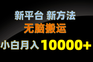 【2024.05.21】新平台新方法，无脑搬运，月赚10000+，小白轻松上手不动脑百度网盘免费下载-芽米宝库