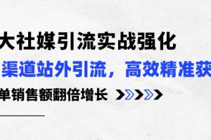 【2024.05.19】3大社媒引流实操强化，多渠道站外引流/高效精准获客/订单销售额翻倍增长百度网盘免费下载-芽米宝库
