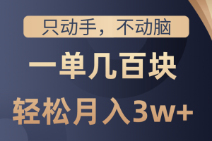 【2024.05.18】只动手不动脑，一单几百块，轻松月入3w+，看完就能直接操作，详细教程百度网盘免费下载-芽米宝库
