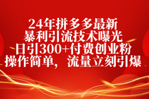 【2024.05.18】2024年拼多多最新暴利引流技术曝光，日引300+付费创业粉，操作简单，流量立刻引爆百度网盘免费下载-芽米宝库