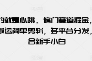 【2024.05.18】玩的就是心跳，偏门赛道掘金，视频搬运简单剪辑，多平台分发，适合新手小白百度网盘免费下载-芽米宝库