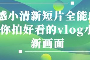 【2024.05.19】情感小清新短片全能班，教你拍好看的vlog小清新画面百度网盘免费下载-芽米宝库