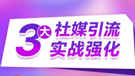图片[1]-【2024.05.18】3大社媒引流实战强化，多渠道站外引流，高效精准获客，订单销售额翻倍增长百度网盘免费下载-芽米宝库