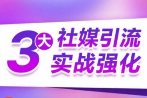 【2024.05.18】3大社媒引流实战强化，多渠道站外引流，高效精准获客，订单销售额翻倍增长百度网盘免费下载-芽米宝库