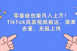 【2024.05.16】零基础也能月入上万，TikTok风景视频搬运，简单去重，无脑上传百度网盘免费下载-芽米宝库