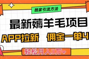 【2024.05.15】最新薅羊毛项目，利用购物APP拉新，佣金一单40.配合独家引流方法百度网盘免费下载-芽米宝库