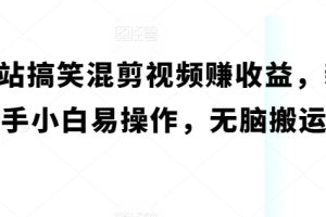 【2024.05.15】B站搞笑混剪视频赚收益，新手小白易操作，无脑搬运百度网盘免费下载-芽米宝库