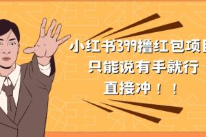 【2024.05.15】外面收399的小红书撸红包项目，量大管饱，直接冲兄弟们百度网盘免费下载-芽米宝库