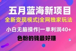 【2024.05.14】五月蓝海项目全新玩法，小白无脑操作，一天几分钟，矩阵操作，月入4万+百度网盘免费下载-芽米宝库