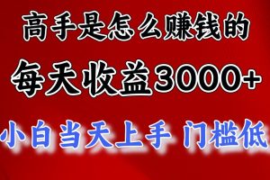 【2024.05.12】高手是怎么赚钱的，一天收益3000+ 这是穷人逆风翻盘的一个项目，非常稳定百度网盘免费下载-芽米宝库