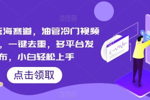 【2024.05.10】超级蓝海赛道，油管冷门视频搬运，一键去重，多平台发布，小白轻松上手百度网盘免费下载-芽米宝库