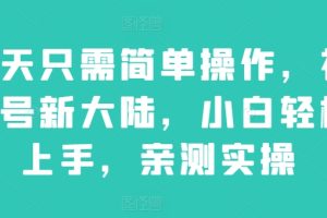 【2024.05.09】每天只需简单操作，视频号新大陆，小白轻松上手，亲测实操百度网盘免费下载-芽米宝库