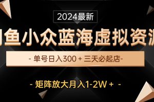 【2024.05.08】最新闲鱼小众蓝海虚拟资源，单号日入300＋，三天必起店，矩阵放大月入1-2W百度网盘免费下载-芽米宝库