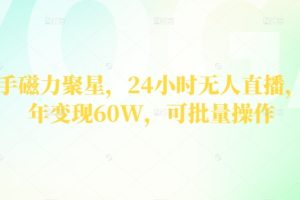 【2024.05.08】快手磁力聚星，24小时无人直播，半年变现60W，可批量操作百度网盘免费下载-芽米宝库