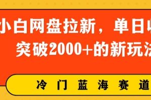 【2024.05.08】小白网盘拉新，单日收益突破2000+的新玩法百度网盘免费下载-芽米宝库