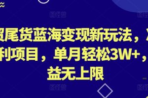 【2024.05.08】外贸尾货蓝海变现新玩法，冷门暴利项目，单月轻松3W+，收益无上限百度网盘免费下载-芽米宝库