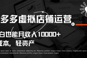 【2024.05.08】拼多多虚拟店铺运营，小白也能月收入10000+百度网盘免费下载-芽米宝库
