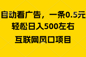 【2024.05.06】广告收益风口，轻松日入500+，新手小白秒上手，互联网风口项目百度网盘免费下载-芽米宝库