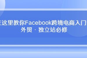 【2024.05.03】在这里教你Facebook跨境电商入门课，外贸·独立站必修百度网盘免费下载-芽米宝库