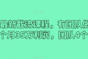 【2024.05.02】2024最新截流课程，有团队做截流一个月35万利润，团队4个人百度网盘免费下载-芽米宝库