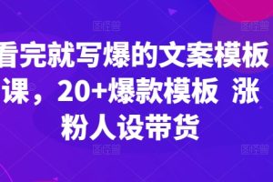 【2024.05.01】看完就写爆的文案模板课，20+爆款模板 涨粉人设带货百度网盘免费下载-芽米宝库