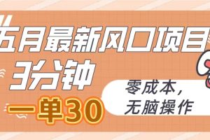 【2024.05.02】五月最新风口项目，3分钟一单30，零成本，无脑操作百度网盘免费下载-芽米宝库