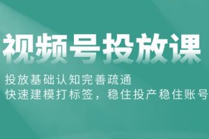 【2024.04.30】视频号投放课：投放基础认知完善疏通，快速建模打标签，稳住投产稳住账号百度网盘免费下载-芽米宝库