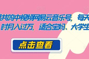 【2024.04.29】情感共鸣中视频网易云音乐号，每天两小时月入过万，适合宝妈、大学生百度网盘免费下载-芽米宝库