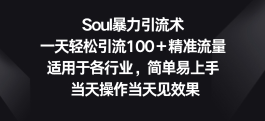 图片[1]-【2024.04.29】Soul暴力引流术，一天轻松引流100＋精准流量，适用于各行业，简单易上手百度网盘免费下载-芽米宝库