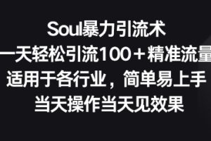 【2024.04.29】Soul暴力引流术，一天轻松引流100＋精准流量，适用于各行业，简单易上手百度网盘免费下载-芽米宝库
