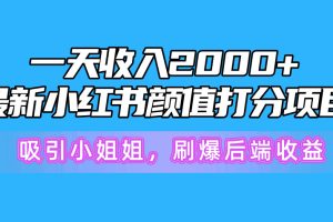 【2024.04.28】一天收入2000+，最新小红书颜值打分项目，吸引小姐姐，刷爆后端收益百度网盘免费下载-芽米宝库
