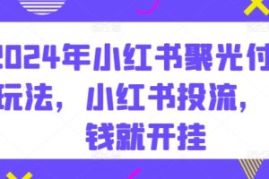 【2024.04.28】2024年小红书聚光付费玩法，小红书投流，充钱就开挂百度网盘免费下载-芽米宝库
