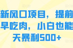 【2024.04.26】最新风口项目，提前布局早吃肉，小白也能一天暴利500+百度网盘免费下载-芽米宝库