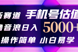 【2024.04.26】抖音不出境直播【手机号估值】最新撸音浪，日入5000+，简单易学，适合所有人百度网盘免费下载-芽米宝库