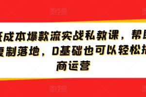 【2024.04.26】淘宝低成本爆款流实战私教课，帮助商家快速复制落地，0基础也可以轻松搞定电商运营百度网盘免费下载-芽米宝库