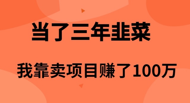 图片[1]-【2024.04.26】当了3年韭菜，我靠卖项目赚了100万百度网盘免费下载-芽米宝库