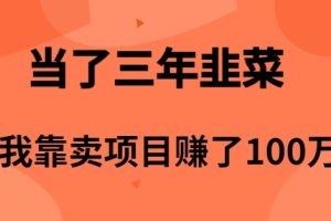 【2024.04.26】当了3年韭菜，我靠卖项目赚了100万百度网盘免费下载-芽米宝库