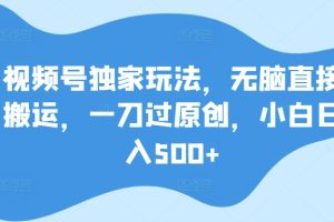 【2024.04.25】视频号独家玩法，无脑直接搬运，一刀过原创，小白日入500+百度网盘免费下载-芽米宝库