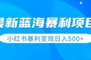 【2024.04.25】最新暴利蓝海项目，小红书图文变现，轻松实现日收益500+百度网盘免费下载-芽米宝库