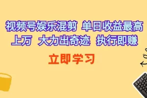 【2024.04.24】视频号娱乐混剪 单日收益最高上万 大力出奇迹 执行即赚百度网盘免费下载-芽米宝库