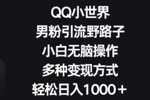 【2024.04.22】QQ小世界男粉引流野路子，小白无脑操作，多种变现方式轻松日入1000+百度网盘免费下载-芽米宝库
