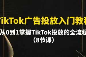 【2024.04.22】TikTok广告投放入门教程，从0到1掌握TikTok投放的全流程（8节课）百度网盘免费下载-芽米宝库