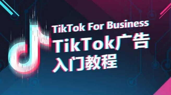 图片[1]-【2024.04.22】TikTok广告入门教程，从0到1掌握TikTok投放的全流程百度网盘免费下载-芽米宝库