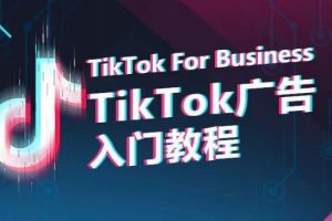 【2024.04.22】TikTok广告入门教程，从0到1掌握TikTok投放的全流程百度网盘免费下载-芽米宝库