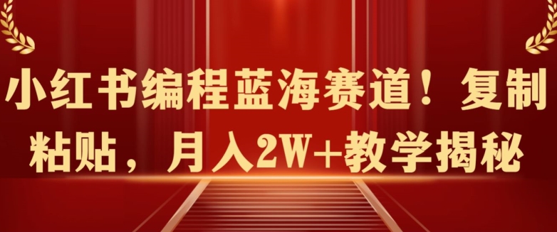 图片[1]-【2024.04.21】小红书编程蓝海赛道!复制粘贴，月入2W+教学揭秘百度网盘免费下载-芽米宝库