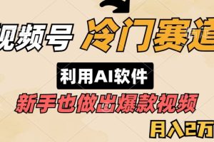 【2024.04.21】视频号冷门赛道，利用AI软件，新手也能轻松做出爆款视频，月入2万百度网盘免费下载-芽米宝库