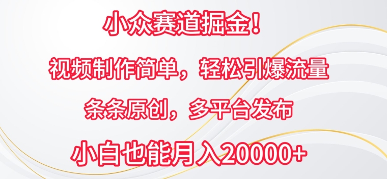 图片[1]-【2024.04.20】小众赛道掘金，视频制作简单，轻松引爆流量，条条原创，多平台发布百度网盘免费下载-芽米宝库