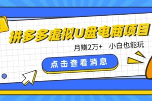 【2024.04.20】拼多多虚拟U盘电商红利项目：月赚2万+，新手小白也能玩百度网盘免费下载-芽米宝库
